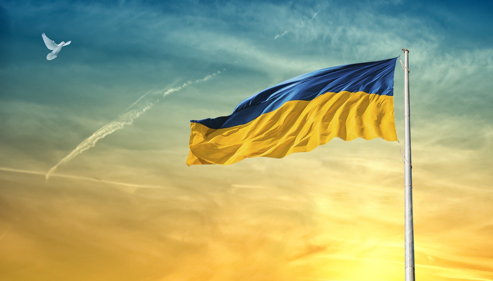 Specustawa o pomocy obywatelom Ukrainy